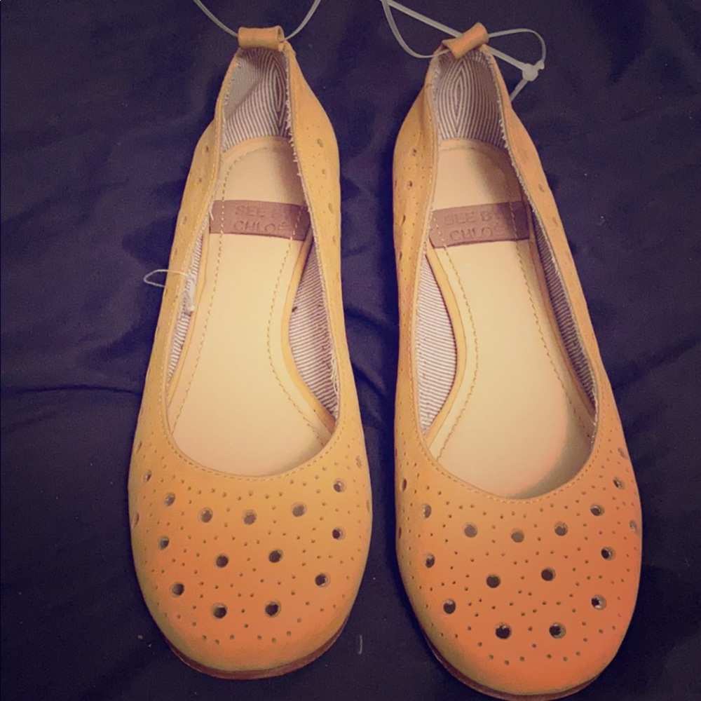 Brand new See by Chloe flats